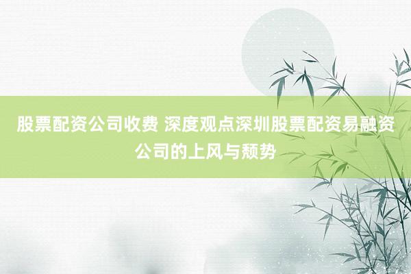 股票配资公司收费 深度观点深圳股票配资易融资公司的上风与颓势