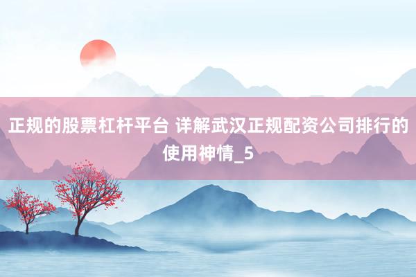 正规的股票杠杆平台 详解武汉正规配资公司排行的使用神情_5