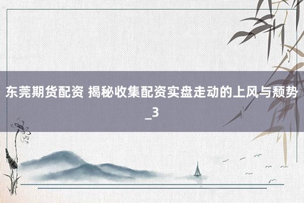 东莞期货配资 揭秘收集配资实盘走动的上风与颓势_3