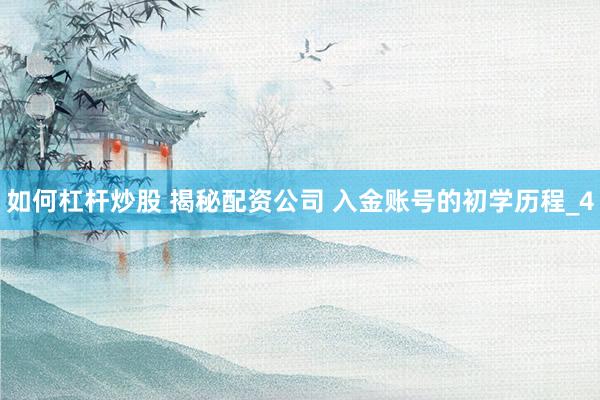 如何杠杆炒股 揭秘配资公司 入金账号的初学历程_4