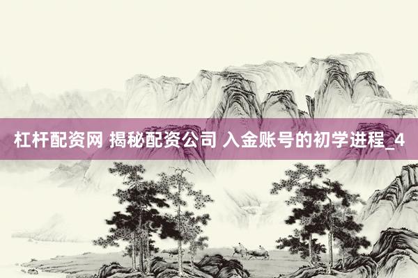杠杆配资网 揭秘配资公司 入金账号的初学进程_4