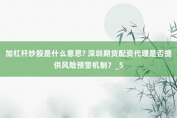 加杠杆炒股是什么意思? 深圳期货配资代理是否提供风险预警机制？_5