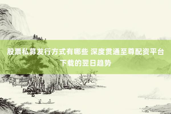 股票私募发行方式有哪些 深度贯通至尊配资平台下载的翌日趋势