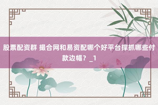 股票配资群 撮合网和易资配哪个好平台撑抓哪些付款边幅？_1