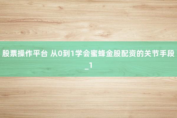股票操作平台 从0到1学会蜜蜂金股配资的关节手段_1