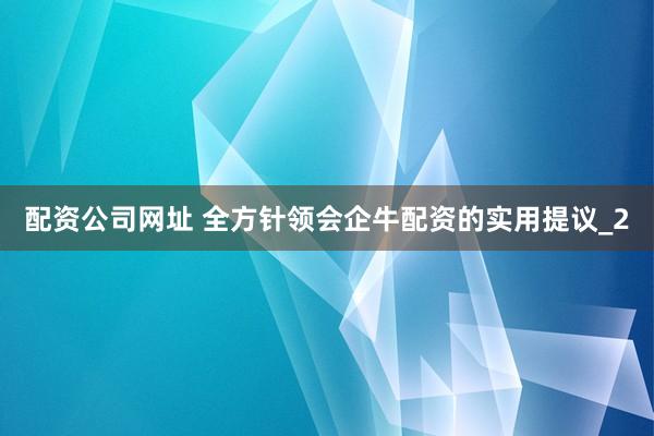 配资公司网址 全方针领会企牛配资的实用提议_2