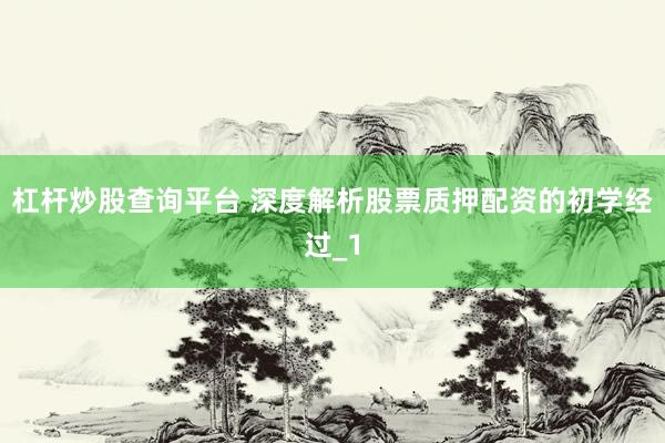 杠杆炒股查询平台 深度解析股票质押配资的初学经过_1