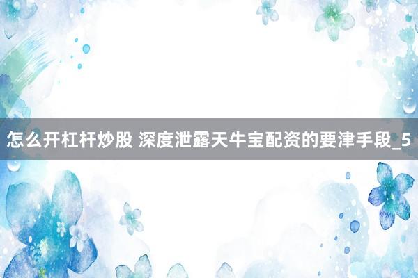 怎么开杠杆炒股 深度泄露天牛宝配资的要津手段_5