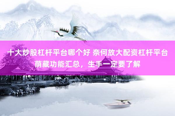 十大炒股杠杆平台哪个好 奈何放大配资杠杆平台荫藏功能汇总，生手一定要了解