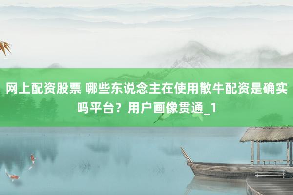 网上配资股票 哪些东说念主在使用散牛配资是确实吗平台？用户画像贯通_1