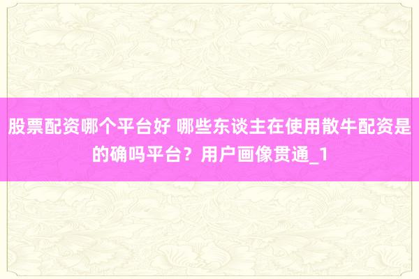 股票配资哪个平台好 哪些东谈主在使用散牛配资是的确吗平台？用户画像贯通_1