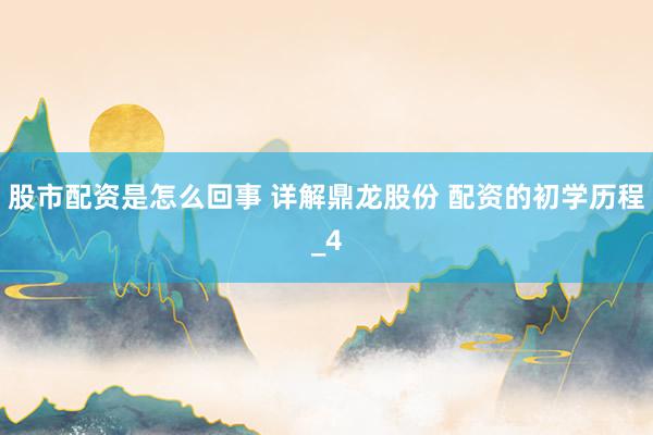 股市配资是怎么回事 详解鼎龙股份 配资的初学历程_4