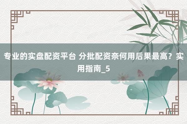 专业的实盘配资平台 分批配资奈何用后果最高？实用指南_5