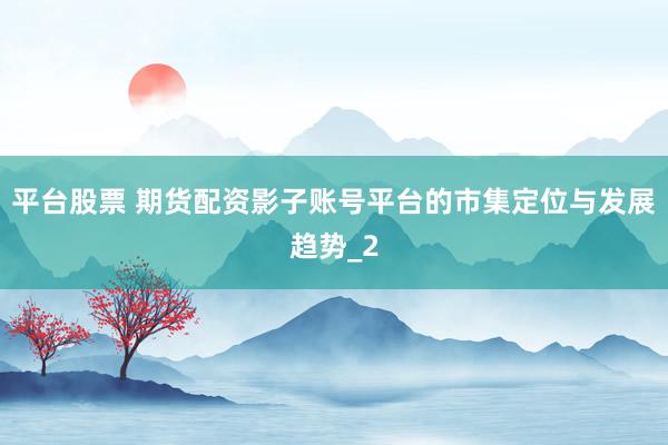 平台股票 期货配资影子账号平台的市集定位与发展趋势_2