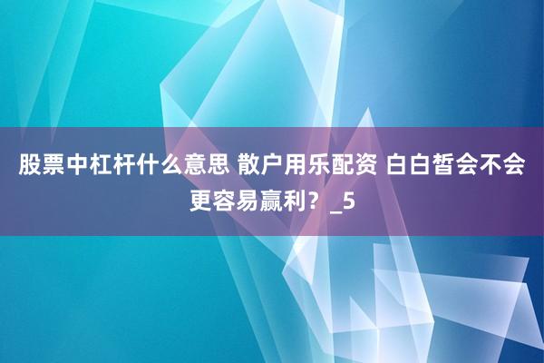 股票中杠杆什么意思 散户用乐配资 白白皙会不会更容易赢利？_5