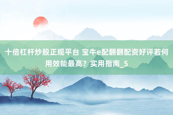 十倍杠杆炒股正规平台 宝牛e配翻翻配资好评若何用效能最高？实用指南_5