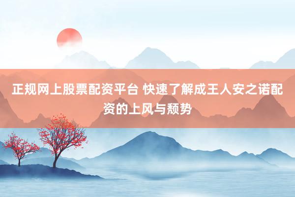 正规网上股票配资平台 快速了解成王人安之诺配资的上风与颓势