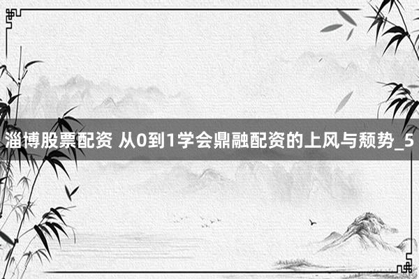 淄博股票配资 从0到1学会鼎融配资的上风与颓势_5