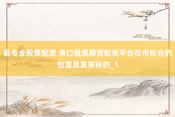 最专业股票配资 海口股票期货配资平台在市蚁合的位置及发展标的_1