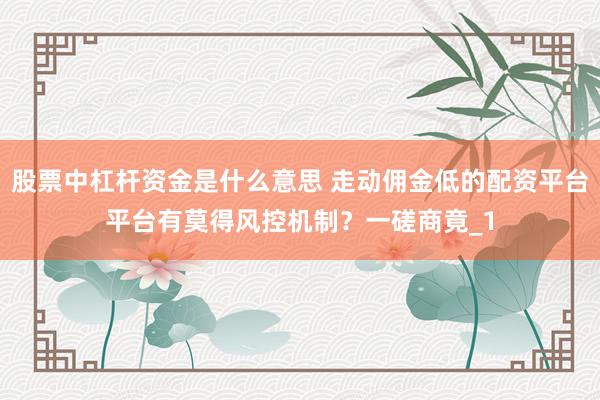 股票中杠杆资金是什么意思 走动佣金低的配资平台平台有莫得风控机制？一磋商竟_1
