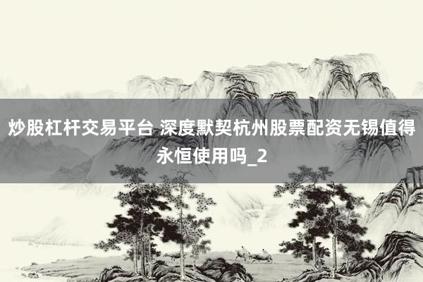 炒股杠杆交易平台 深度默契杭州股票配资无锡值得永恒使用吗_2