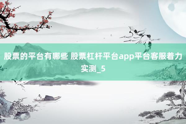股票的平台有哪些 股票杠杆平台app平台客服着力实测_5